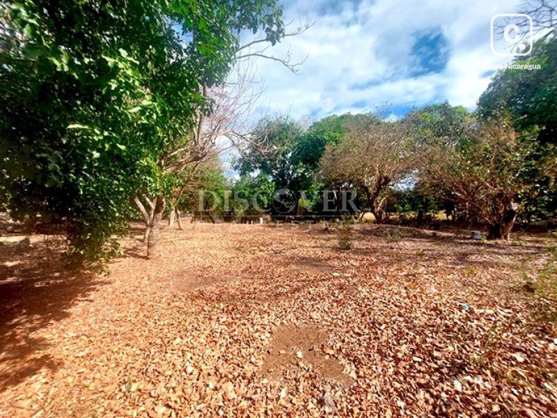 Terreno en venta en Las Colinas, Managua – 20,000 varas²
