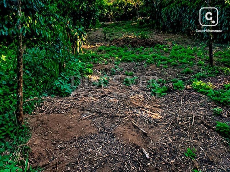 Terreno en venta en San Marcos, Carazo – 598 varas²