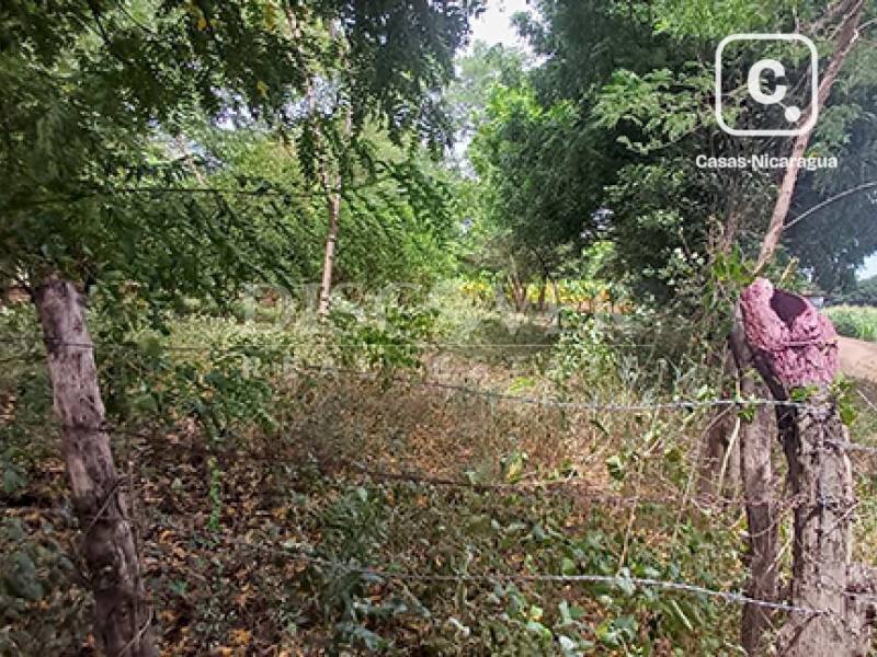 Terreno en venta o alquiler en Carretera Norte, Managua – 42,000 varas²
