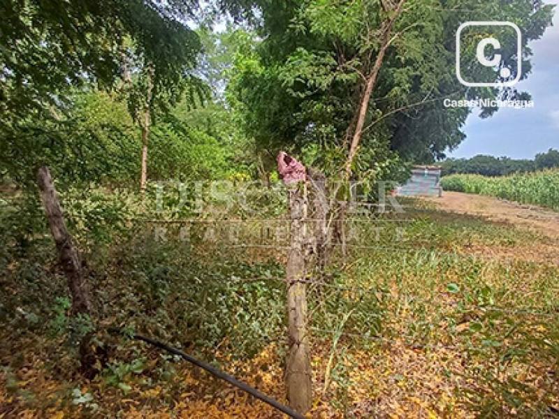 Terreno en venta o alquiler en Carretera Norte, Managua – 42,000 varas²