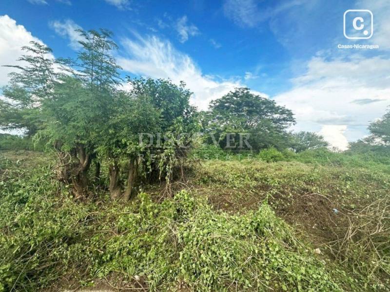 Terreno en venta en Carretera Norte, Managua – 20,000 varas²