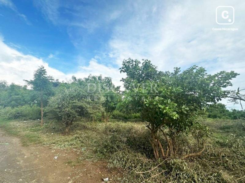 Terreno en venta en Carretera Norte, Managua – 20,000 varas²