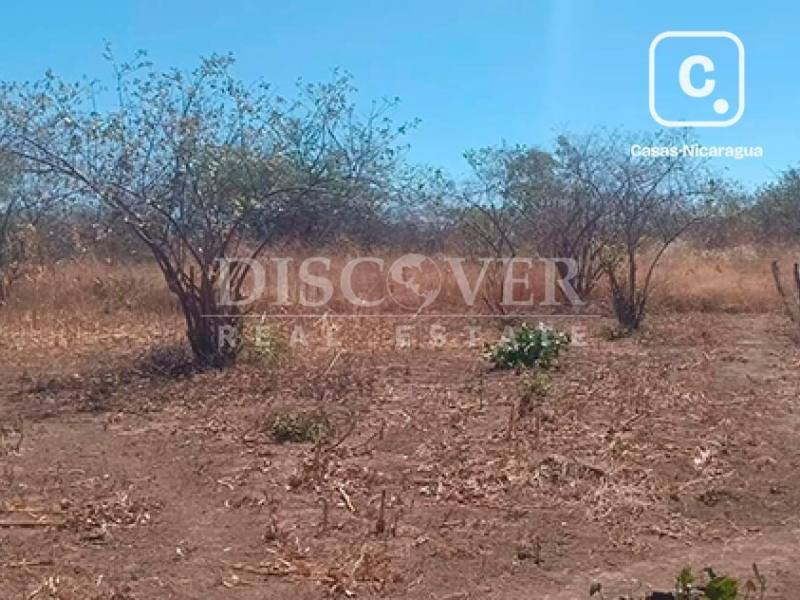 Terreno en venta en Carretera Nueva León, Managua – 500 varas²