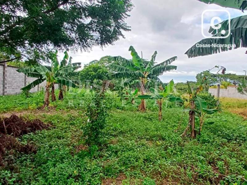 Terreno en venta en Veracruz, Managua – 1,353 varas²