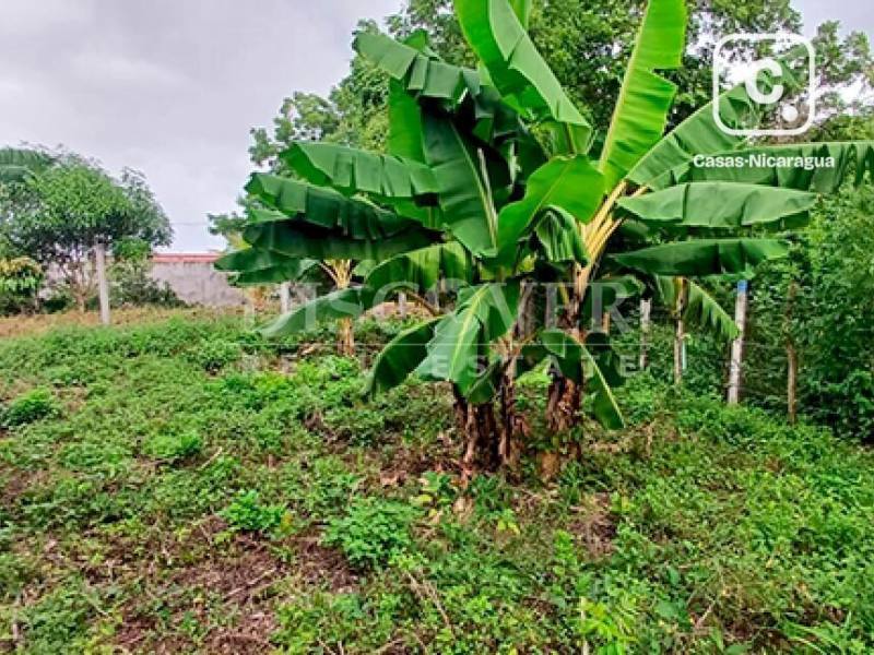 Terreno en venta en Veracruz, Managua – 1,353 varas²