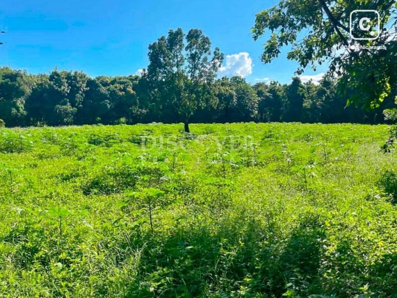 Terreno en venta en Nindirí, Masaya – 20,600 varas²