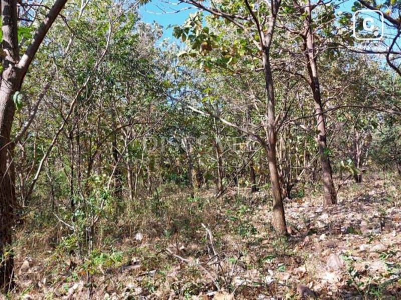 Finca en venta en Carretera Nueva León, Managua – 380,000 varas²