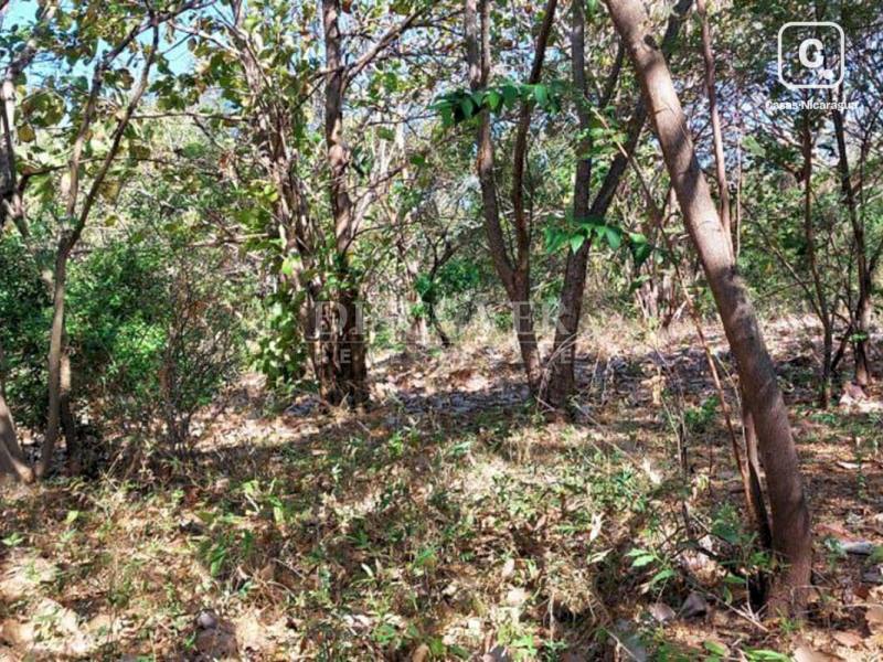 Finca en venta en Carretera Nueva León, Managua – 380,000 varas²