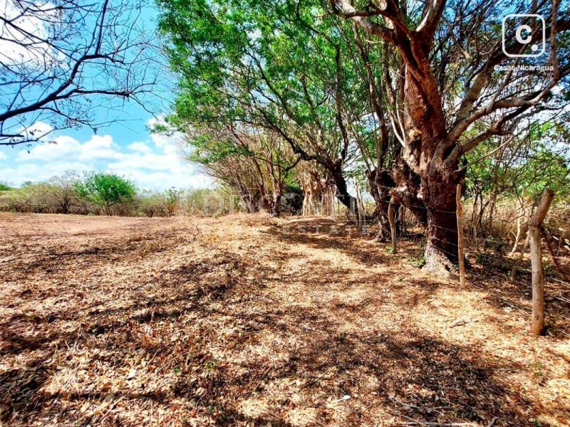 Terreno en venta en Esquipulas, Managua – 85,819 varas²