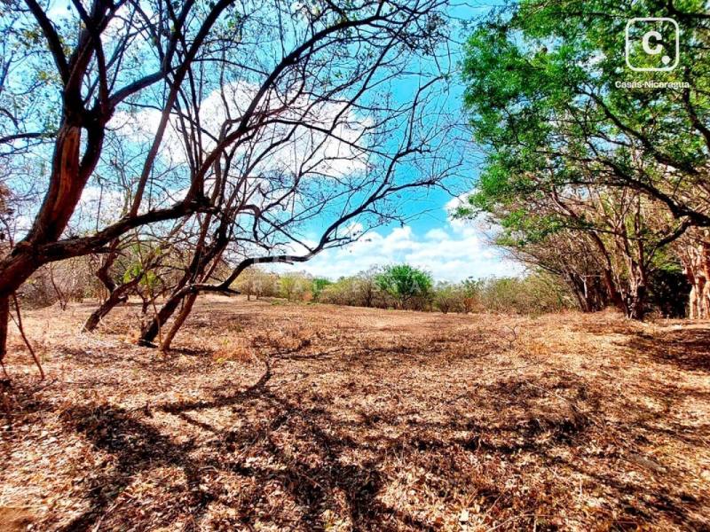 Terreno en venta en Esquipulas, Managua – 85,819 varas²