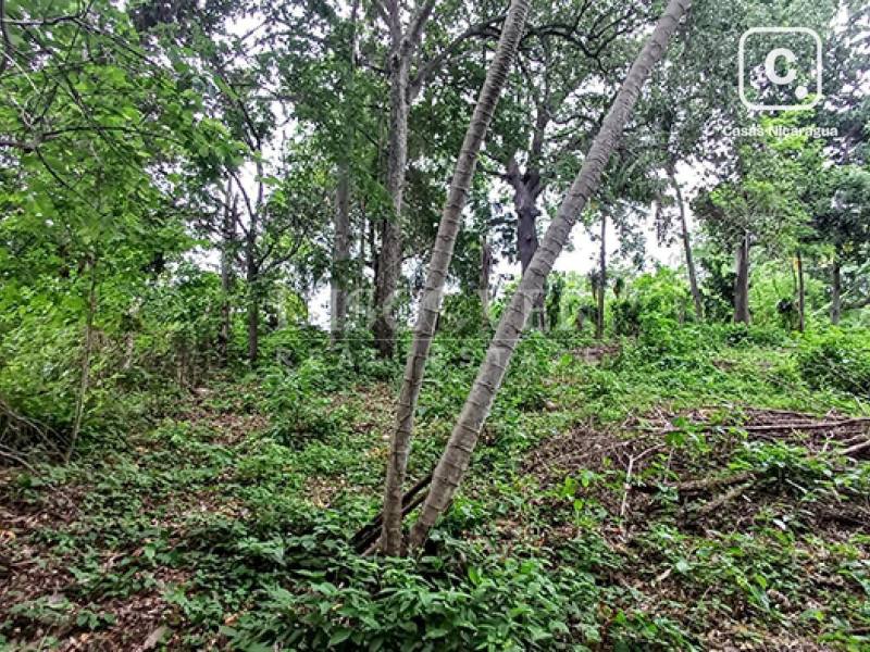 Terreno en venta en Carretera Sur, Managua – 5,456 varas²