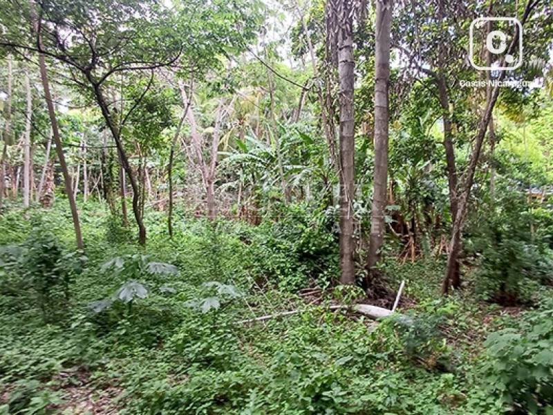 Terreno en venta en Carretera Sur, Managua – 5,456 varas²
