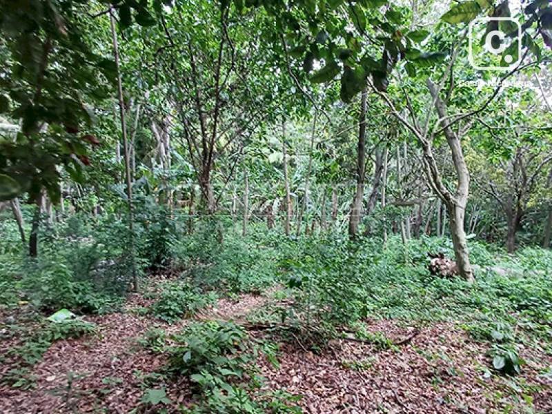 Terreno en venta en Carretera Sur, Managua – 5,456 varas²