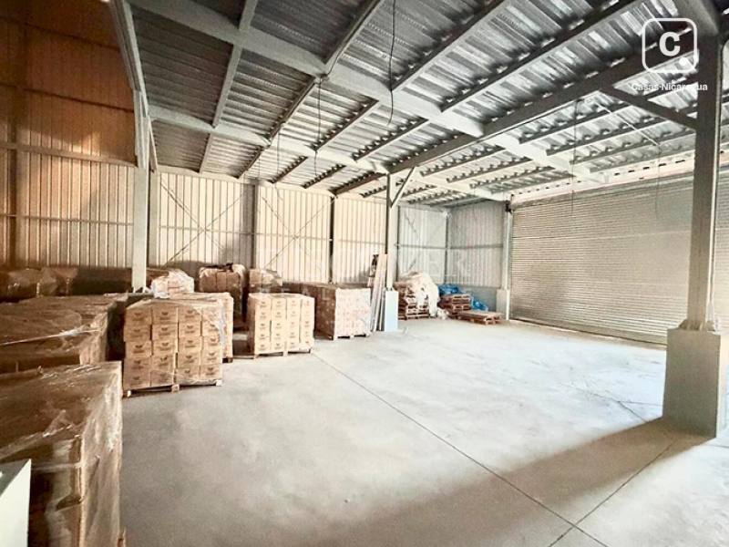 Bodega en alquiler en Carretera Masaya, Managua – 312 m²