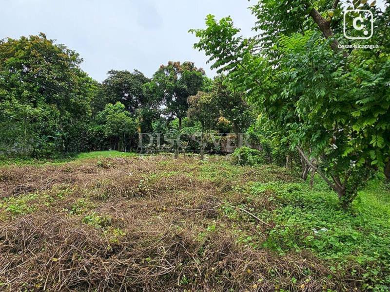 Terreno en venta en Carretera Nueva León, Managua – 219 varas²