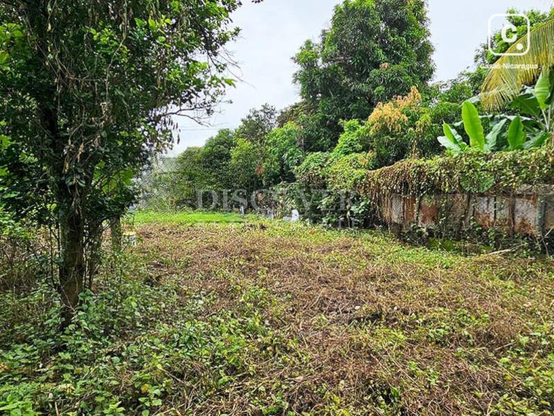 Terreno en venta en Carretera Nueva León, Managua – 219 varas²