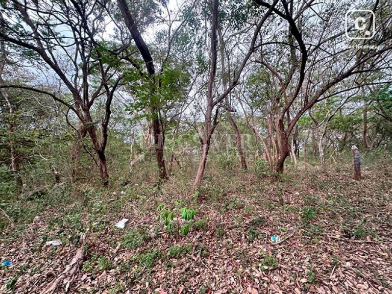 Terreno en venta en Carretera Sur, Managua – 21,121 varas²
