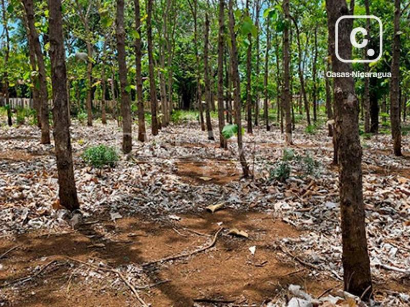 Terreno en venta en Carretera Norte, Managua – 22,022 varas²