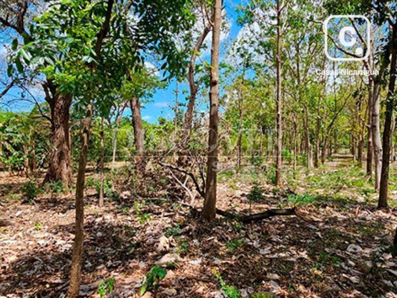 Terreno en venta en Carretera Norte, Managua – 22,022 varas²