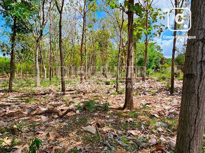 Terreno en venta en Carretera Norte, Managua – 22,022 varas²