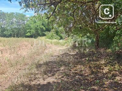 Terreno en venta en Carretera Norte, Managua – 54,653 varas²