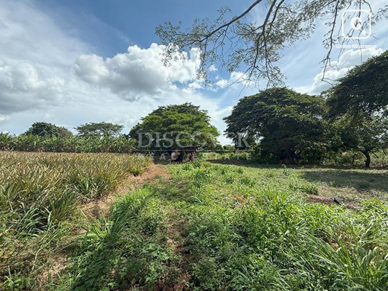 Terreno en venta en Carretera Masaya, Managua – 80,000 varas²