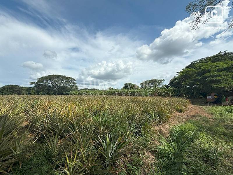 Terreno en venta en Carretera Masaya, Managua – 80,000 varas²