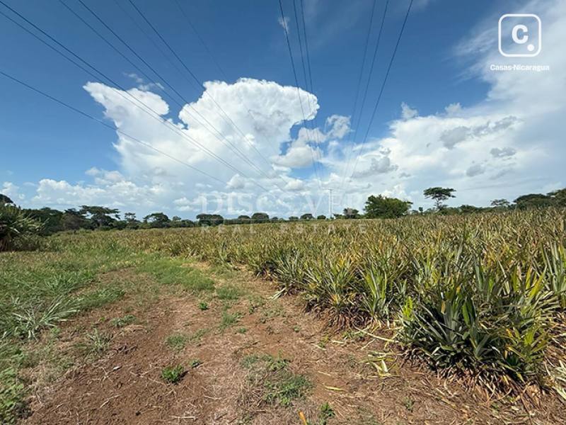 Terreno en venta en Carretera Masaya, Managua – 80,000 varas²