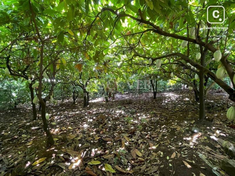 Finca en venta en Carretera Sur, Managua – 22,500 varas²