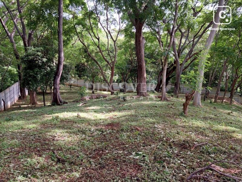 Terreno en venta en Villa Fontana, Managua – 10,000 varas²