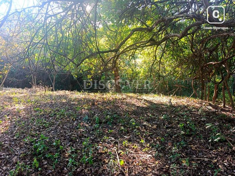 Terreno en venta en Carretera Vieja a León, Managua – 3,003 varas²