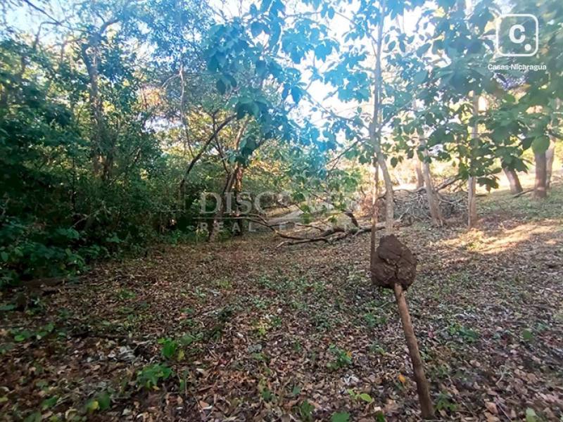 Terreno en venta en Carretera Vieja a León, Managua – 3,003 varas²
