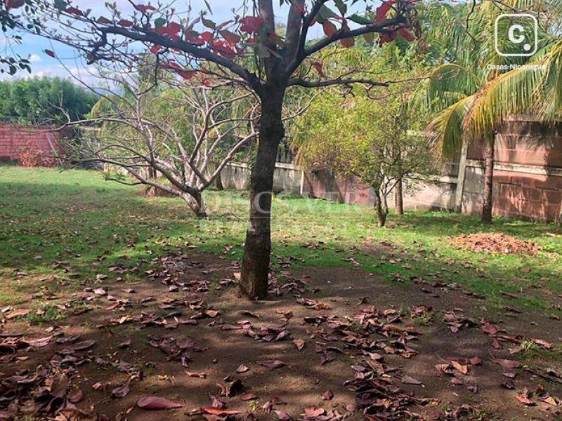 Terreno en venta en Carretera Nueva León, Managua – 1,248 varas²