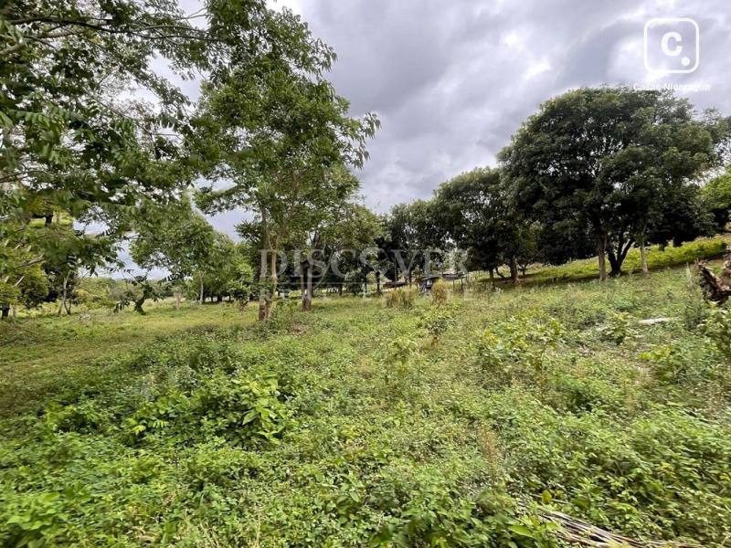 Terreno en venta en Santo Domingo, Managua – 75,000 varas²
