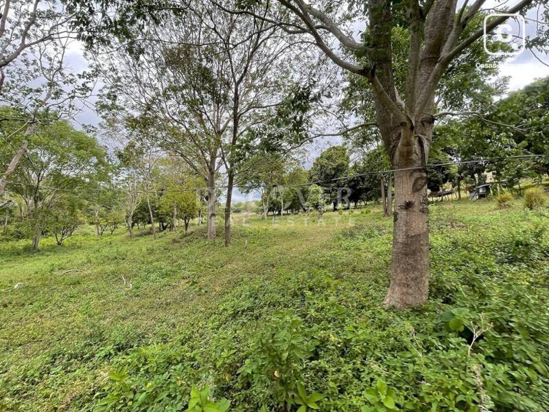 Terreno en venta en Santo Domingo, Managua – 75,000 varas²