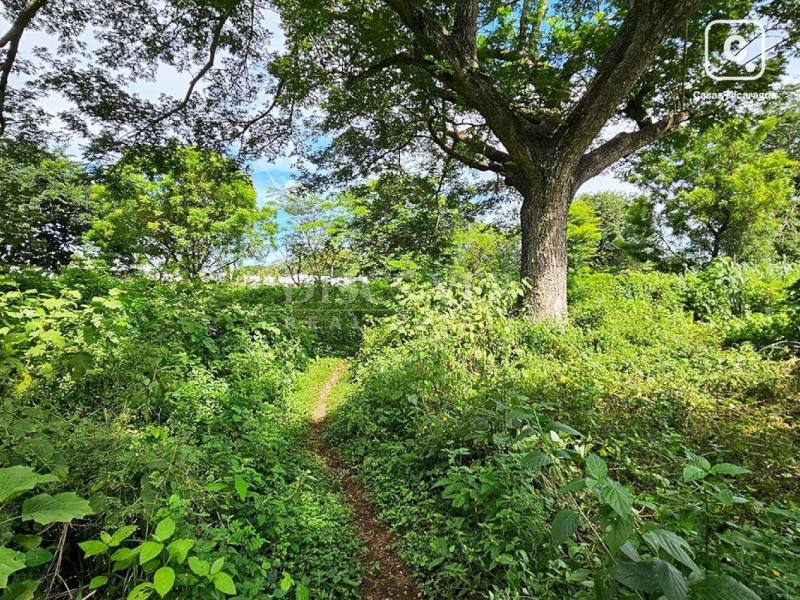 Terreno en venta en Veracruz, Managua – 4,400 varas²