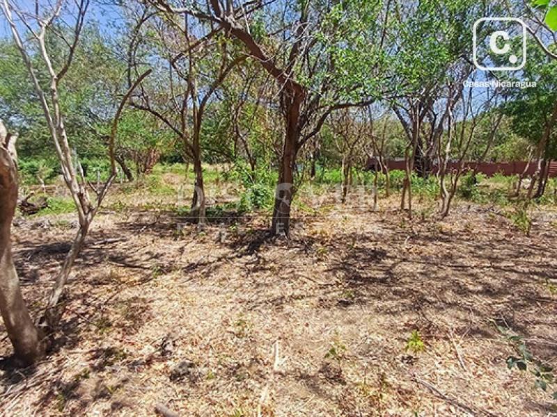 Terreno en venta en Carretera Vieja a León, Managua – 3,397 varas²