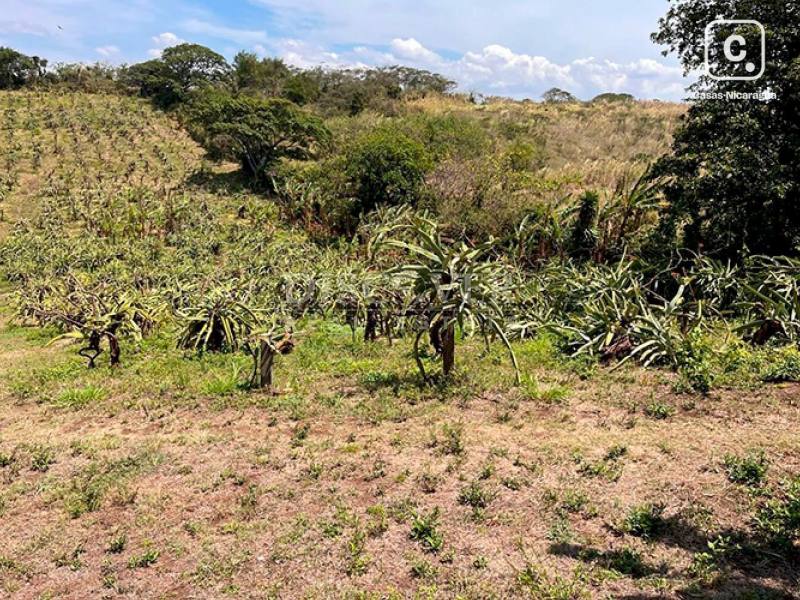 Finca en venta en Diriamba, Carazo – 20,000 varas²