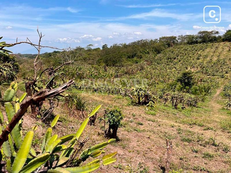 Finca en venta en Diriamba, Carazo – 20,000 varas²