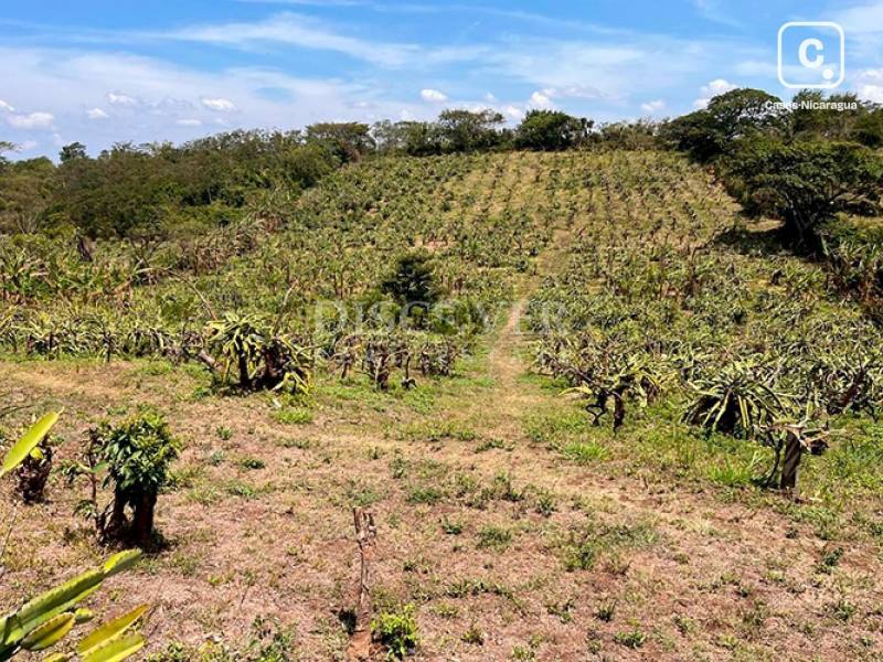 Finca en venta en Diriamba, Carazo – 20,000 varas²