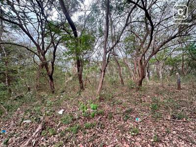 Terreno en venta en Carretera Sur, Managua – 21,121 varas²
