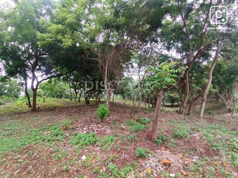 Terreno en venta en Carretera Masaya, Managua – 77,200 varas²