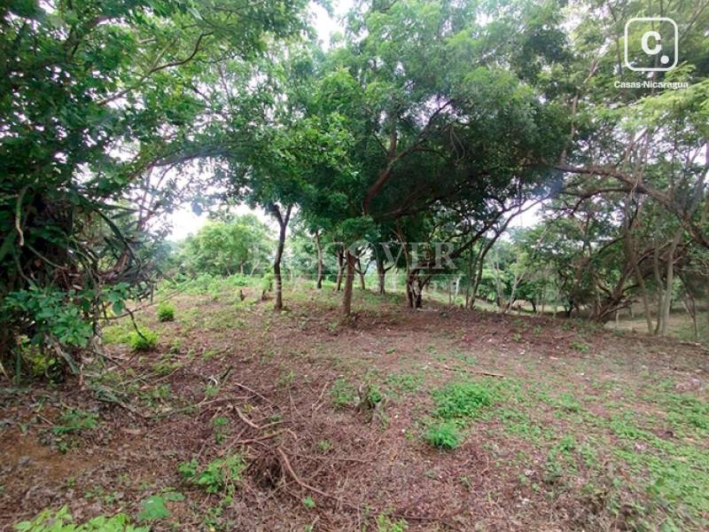 Terreno en venta en Carretera Masaya, Managua – 77,200 varas²