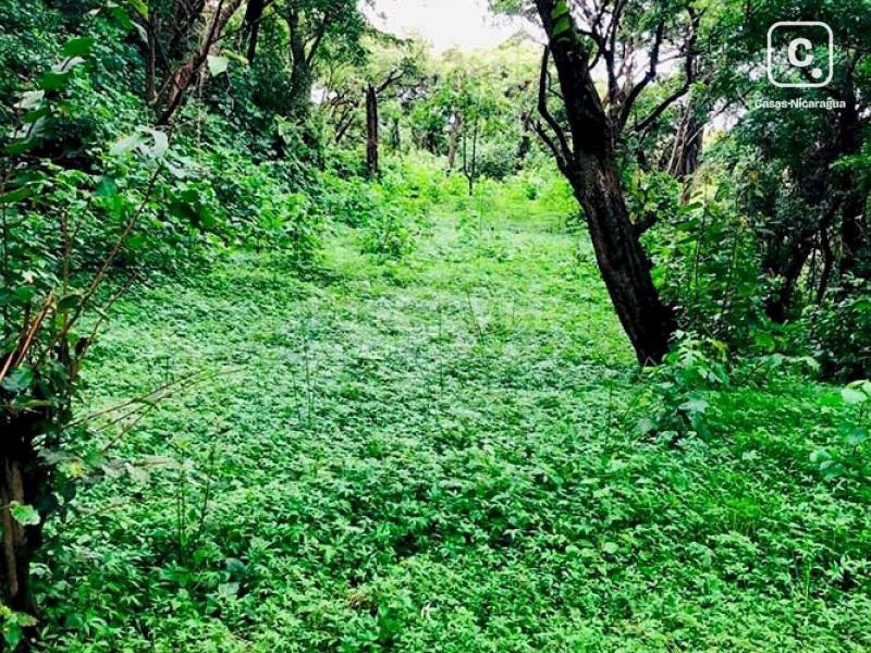 Terreno en venta en Carretera Sur, Managua – 8,633 varas²
