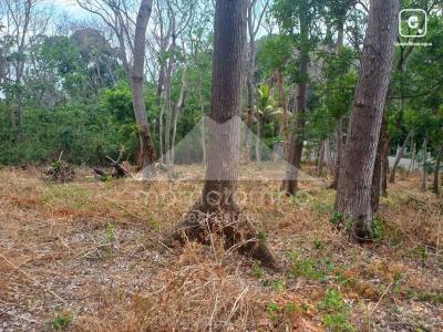 Terreno en venta en Carretera Sur, Managua – 3,500 varas²