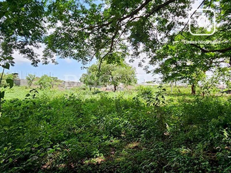 Terreno en venta en Veracruz, Managua – 2,211 varas²