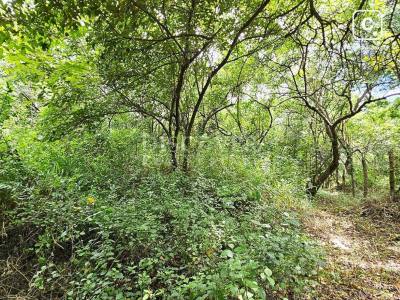 Terreno en venta en Veracruz, Managua – 10,043 varas²