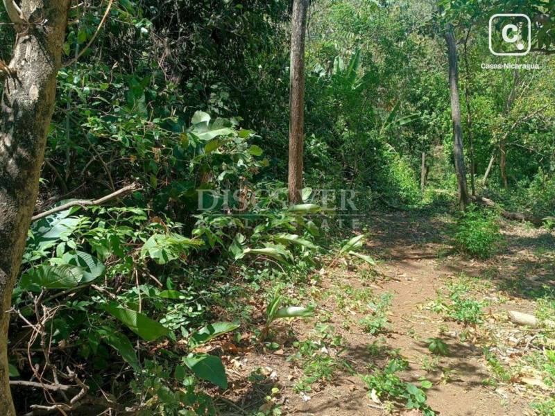 Terreno en venta en Pista Jean Paul Genie, Managua – 16,571 varas²