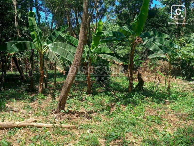 Terreno en venta en Pista Jean Paul Genie, Managua – 16,571 varas²