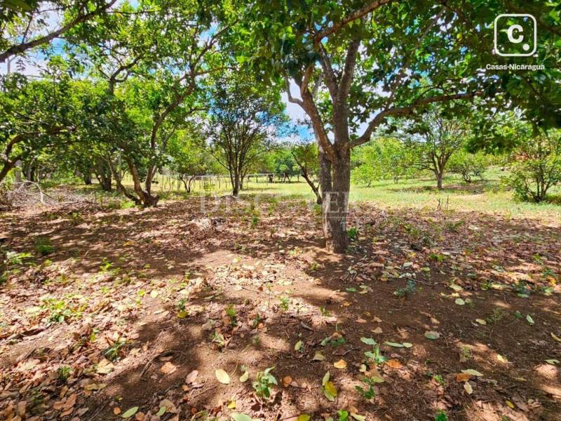 Terreno en venta en Ticuantepe, Managua – 4,781 m²